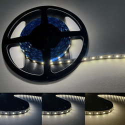 Silamp - Ruban led 5M 24V 5050 IP20 60LED/m - Blanc Froid 6000K - 8000K