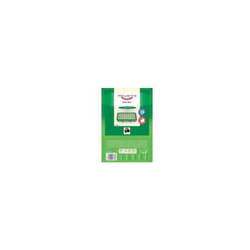 Filtre pour aspirateur Hepa Rowenta ZR901501 SKL 178 x 95 x 27 mm