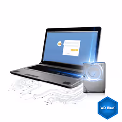 Western Digital Blue 3.5" 500 Go Série ATA III - Vue supplémentaire 11