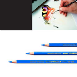 Artexport ME7610186842962 crayon de couleur Noir