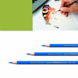 Artexport ME7610186843532, Vert, Jaune