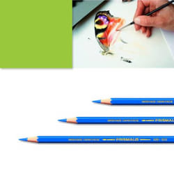 Artexport ME7610186843532 crayon de couleur Vert, Jaune