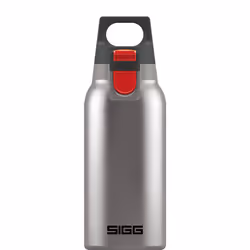 SIGG 8581.70, 0,3 L, Acier brossé, Acier inoxydable, 9 h, 12 h, Plastique