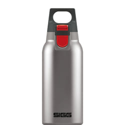 SIGG 8581.70 thermos 0,3 L Acier brossé