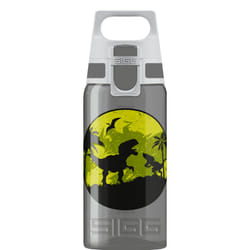 SIGG 8686.70 gourde Utilisation quotidienne 500 ml Plastique Gris
