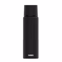 SIGG IBT Obsidian, 0,75 L, Noir, Acier inoxydable, 7,6 cm, 267 mm, 342 g