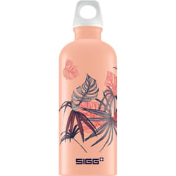SIGG Lucid Florid Shy Pink Utilisation quotidienne 600 ml Aluminium Gris, Rose