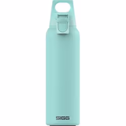 SIGG - Gourde Isotherme - Thermo Flask Hot & Cold ONE Light - Avec Filtre À Fruits - Étanche - Sans BPA - Acier Inoxydable 18 ...