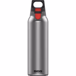 Gourde isotherme - SIGG - H&C ONE Light - 0.55L - Acier inoxydable 18/8 - Gris