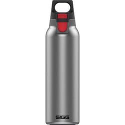 Gourde isotherme - SIGG - H&C ONE Light - 0.55L - Acier inoxydable 18/8 - Gris