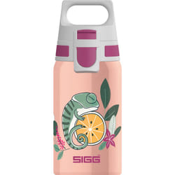 SIGG Shield One Flora Utilisation quotidienne 500 ml Acier inoxydable Rose