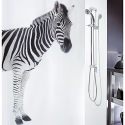 Spirella Zebra, Image, Polyester, Noir, Blanc, Lavage en machine, 40 °C, 1800 mm
