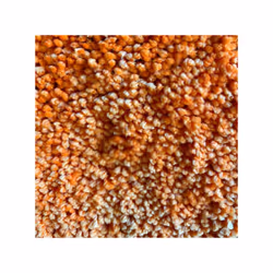 Spirella 7610583130709 tapis de bain et tapis 70 x 120 cm
