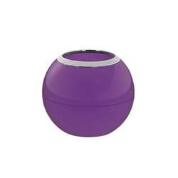 Spirella 7610583172501 porte-brosses à dents Couleur violette Distributeurs de salle de bain