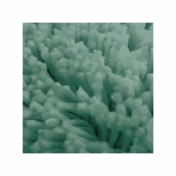 Spirella 7610583199584 tapis de bain et tapis 80 x 150 cm
