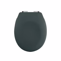Spirella Abattant Wc Thermo Dur NEELA Vert Foncé Mat - Charnières ABS Chromé, Allongé, Abattant rigide, Vert, ABS, Duroplast, ...