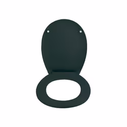 Spirella Abattant Wc Thermo Dur NEELA Vert Foncé Mat - Charnières ABS Chromé