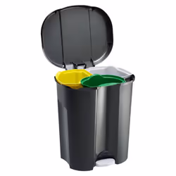 Rotho Trio, 60 L, Polypropylène (PP), Noir, Pédale, 420 mm, 490 mm