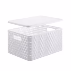 Rotho 11153 Panier de rangement Rectangulaire Blanc