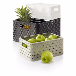 Rotho 11153 Panier de rangement Rectangulaire Blanc