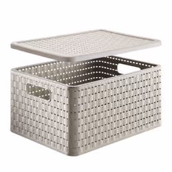 Rotho 1115307422 Boîte de rangement Rectangulaire Polypropylène (PP) Cappucino