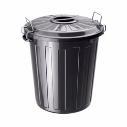 Rotho 1784608851, 25 L, Rond, Polypropylène (PP), Noir, Manuel, 360 mm