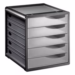 Rotho 11065, Compartiment de rangement, Anthracite, Transparent, Rectangulaire, Polystyrol, Monochromatique, Intérieure