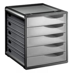 Rotho 11065 Compartiment de rangement Rectangulaire Polystyrol Anthracite, Transparent