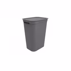 Rotho Brisen, 50 L, Rectangulaire, Plastique, Anthracite, Manuel, 340 mm