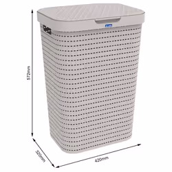 Rotho Country panier à linge 55 L Rectangulaire Plastique Cappucino