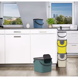 Rotho Albula 40 L Rectangulaire Plastique Citron vert