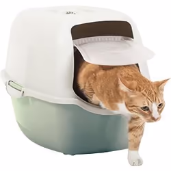 Rotho Bailey Chat Toilettes couvertes pour animaux de compagnie Vert, Blanc