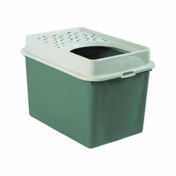 Rotho Berty, Chat, Toilettes avec entrée par le haut, Vert, Fermoir, 572 mm, 393 mm