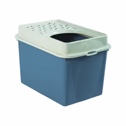 Rotho Berty, Chat, Toilettes avec entrée par le haut, Bleu, Vert, Fermoir, 572 mm, 393 mm
