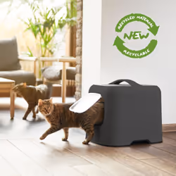 Rotho BIALA Chat Toilettes couvertes pour animaux de compagnie Noir, Gris