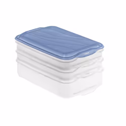 Rotho RONDO, contenant, Rectangulaire, Bleu, Transparent, Plastique, 160 mm, 240 mm