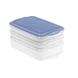 Rotho RONDO Rectangulaire contenant Bleu, Transparent