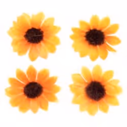 GLOREX 63803593, Сhildren's art/craft kit supply, Noir, Orange, Garçon/Fille, 15 pièce(s)