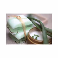 GLOREX Savon de glycérine Aloe Vera 500g transparent