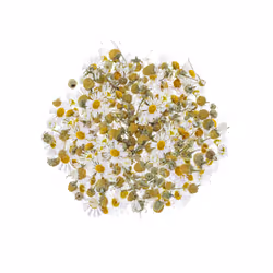 GLOREX Fleurs de camomille 2g coupées, 2 g, 86 g, 12 mm, 50 mm, 8 mm