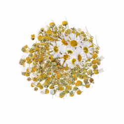 GLOREX Fleurs de camomille 2g coupées - Vue supplémentaire 4