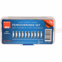 Max Hauri AG Cable Home 128449 fusible de sécurité Standard 10 A 100 pièce(s)