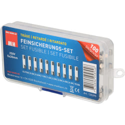 Max Hauri AG Cable Home 135395 fusible de sécurité Standard 10 A 100 pièce(s)
