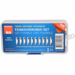 Max Hauri AG Cable Home 135395 fusible de sécurité Standard 10 A 100 pièce(s)