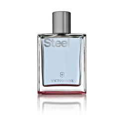 Victorinox Steel Hommes 100ml