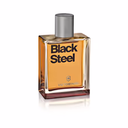 Victorinox Black Steel Hommes 100ml - Vue supplémentaire 7