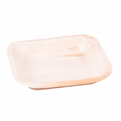 Elco 28-50400000-079, Assiette, Rectangulaire, Feuille de palmier, Monochromatique, 25 pièce(s), 240 mm