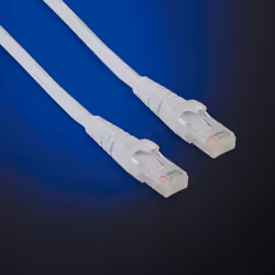 Value Câble Patch UTP Cat. 6, LSOH, gris, 2m, 2 m, Cat6, U/UTP (UTP), RJ-45, RJ-45