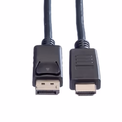 ROLINE Câble DisplayPort DP - HDTV, M/M, 1 m