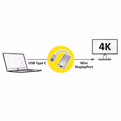 ROLINE 12.03.3225 câble vidéo et adaptateur 0,1 m USB Type-C Mini DisplayPort Argent